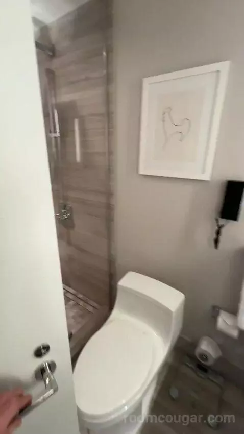 Two Bedroom Apartment (#3102) bathroom picture #12