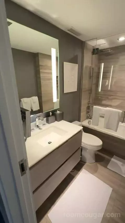 Two Bedroom Apartment (#3102) bathroom picture #2