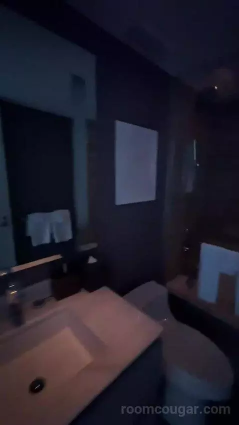 Two Bedroom Apartment (#3102) bathroom picture #4
