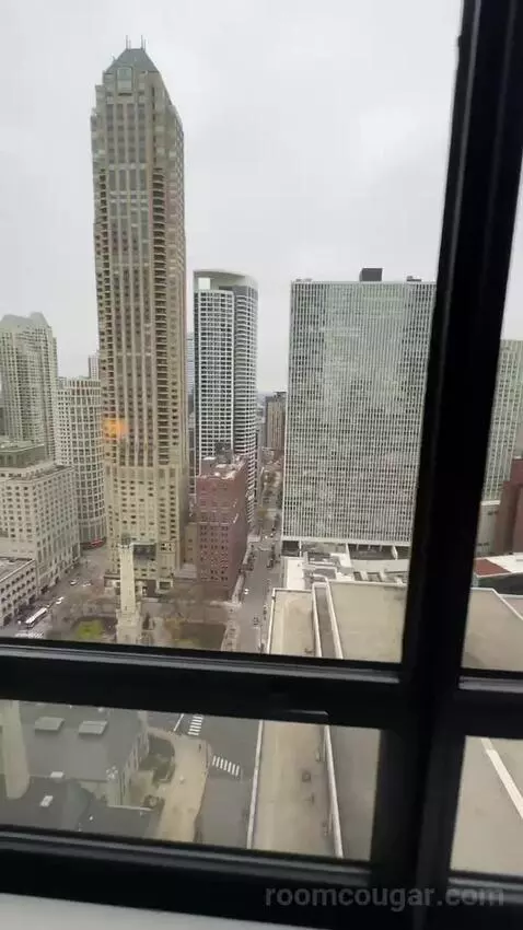 Magnificent Mile Suite (#2724) view picture #1
