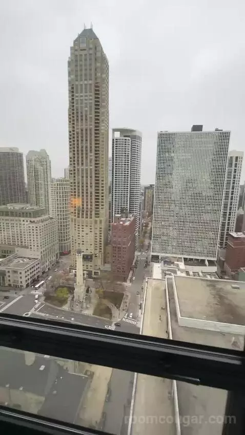 Magnificent Mile Suite (#2724) view picture #3