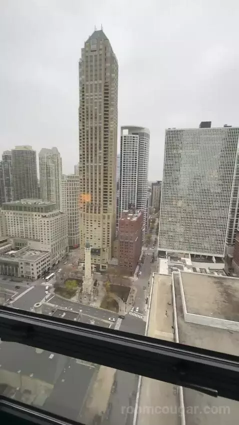 Magnificent Mile Suite (#2724) view picture #4