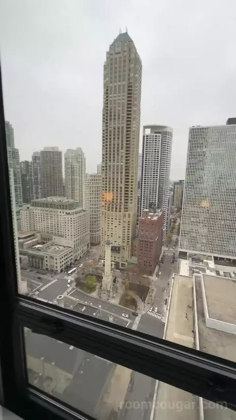 Magnificent Mile Suite (#2724) view picture #6