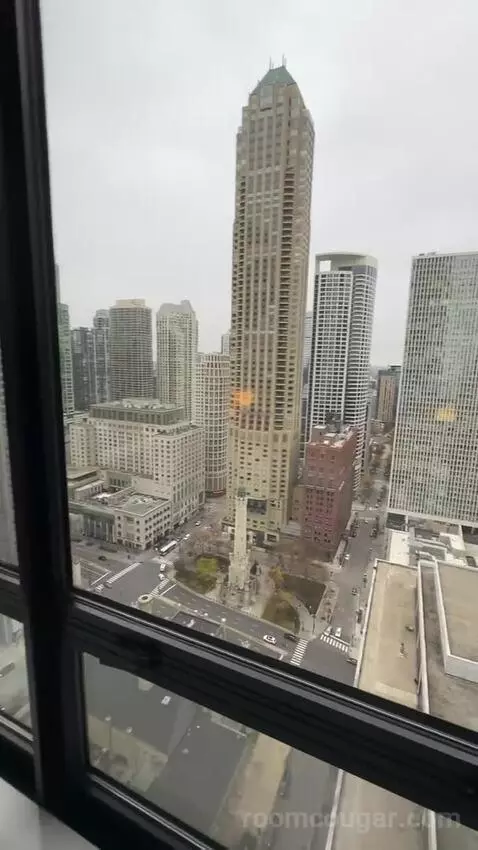 Magnificent Mile Suite (#2724) view picture #7