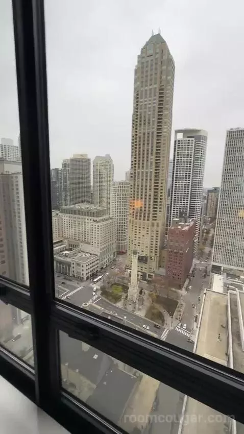 Magnificent Mile Suite (#2724) view picture #8