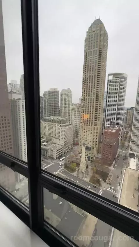 Magnificent Mile Suite (#2724) view picture #9