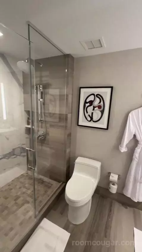 King Room with City View bathroom picture #4