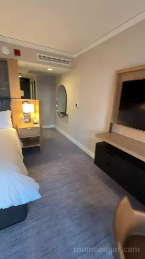 King Room with City View picture #21