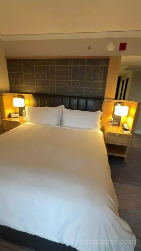 King Room with City View bed picture #9