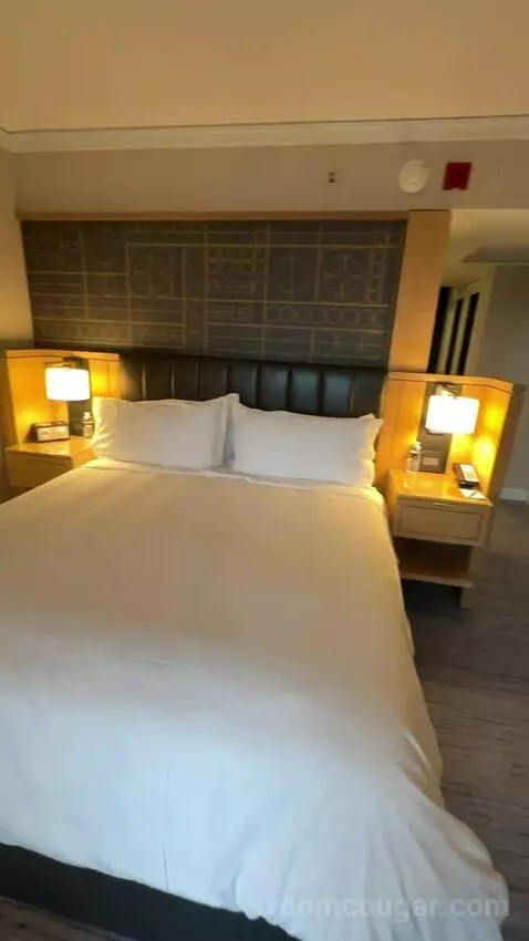 King Room with City View picture #22