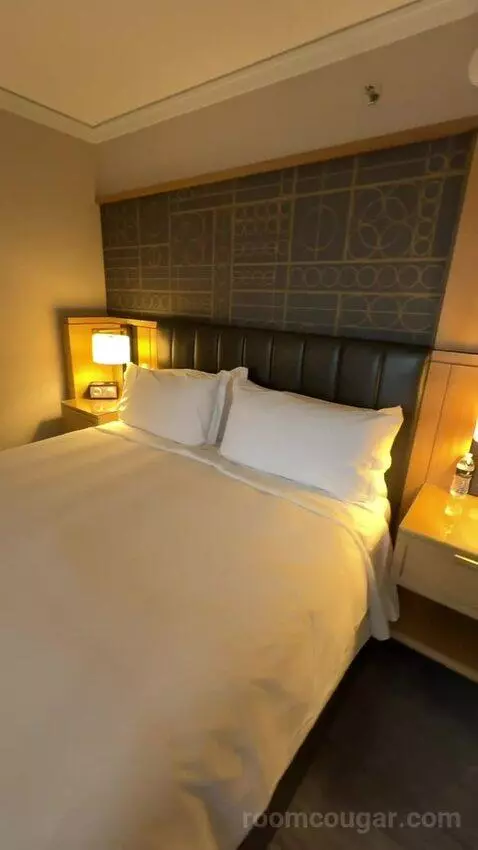 King Room with City View picture #23