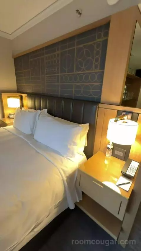 King Room with City View picture #24