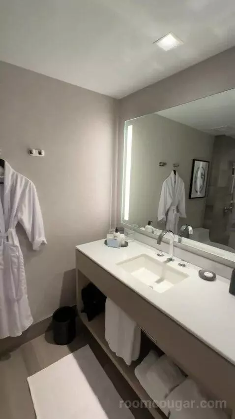 King Room with City View picture #4