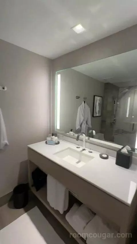 King Room with City View bathroom picture #8