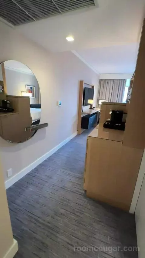 King Room with City View picture #10