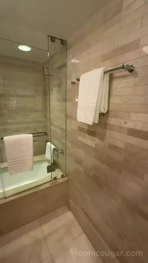 Double Room with Two Double Beds and Lake View bathroom picture #2
