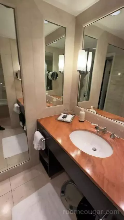 Double Room with Two Double Beds and Lake View bathroom picture #8