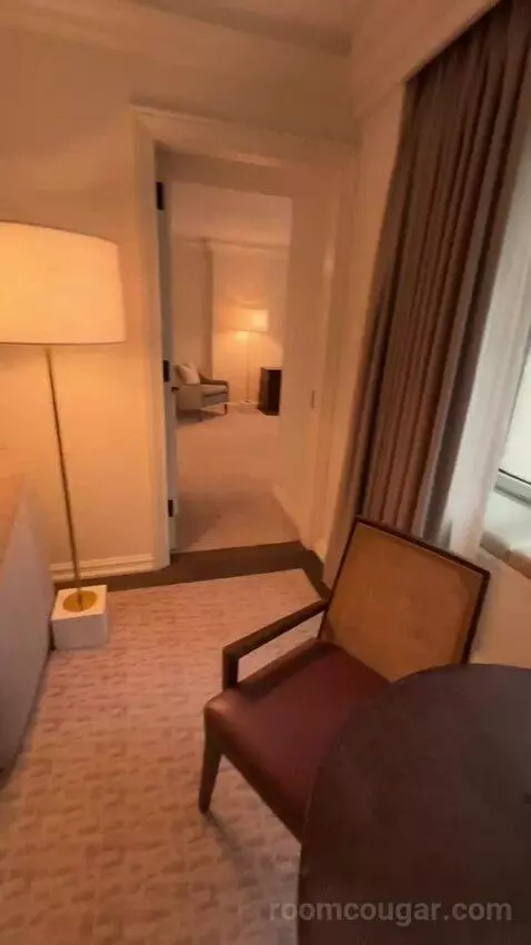 Executive King Suite with Lake View (#3111) bed picture #5