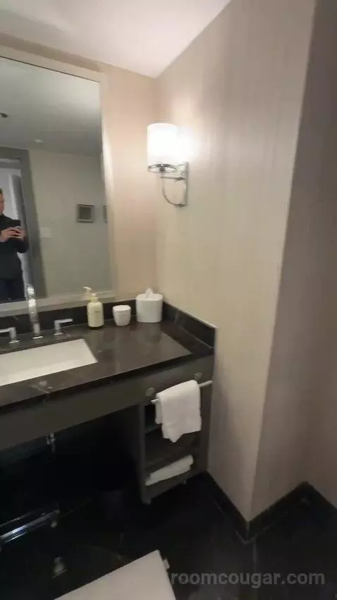 Executive King Suite with Lake View (#3111) bathroom picture #6