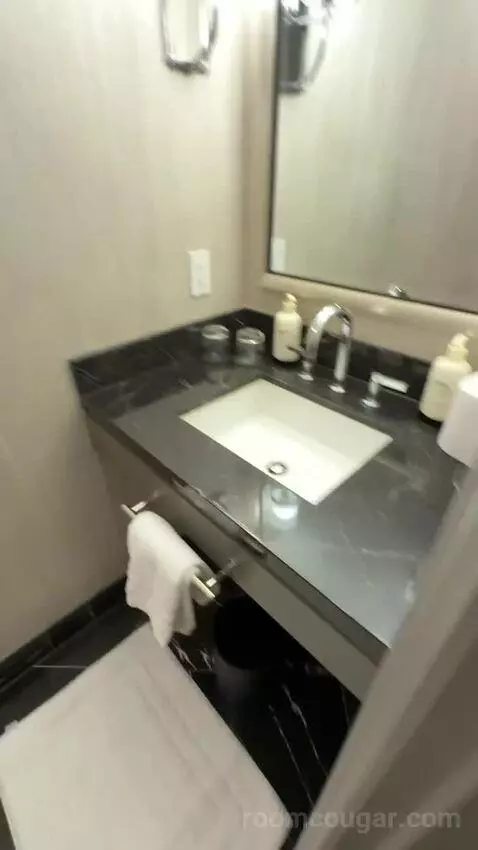 Executive King Suite with Lake View (#3111) bathroom picture #1