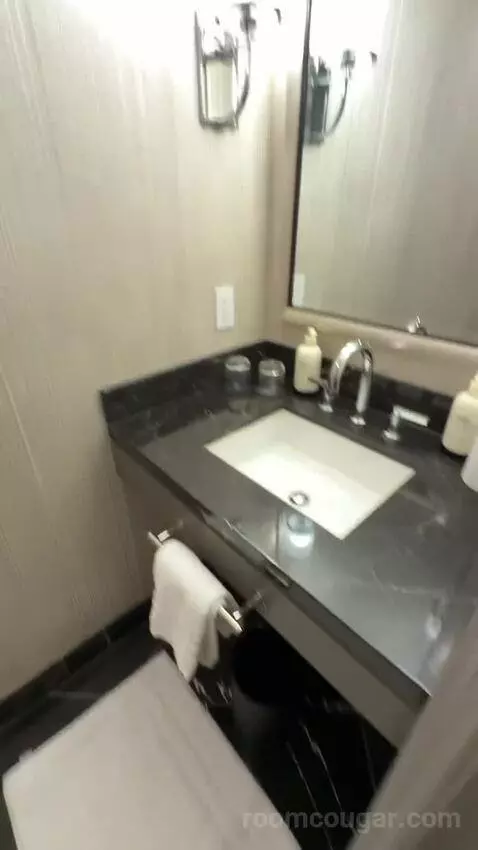 Executive King Suite with Lake View (#3111) bathroom picture #2