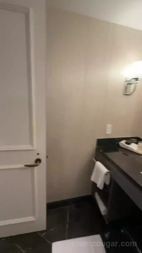 Executive King Suite with Lake View (#3111) bathroom picture #9