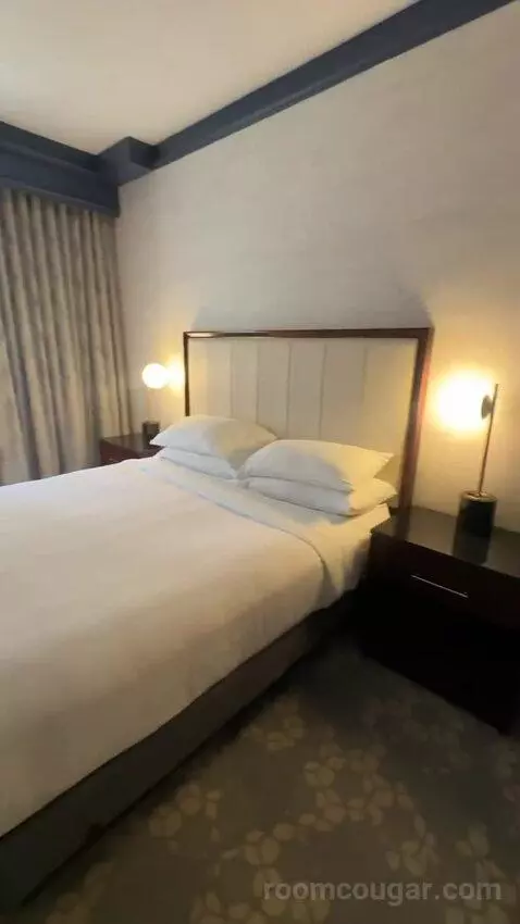 1 Bedroom Suite, 1 King, Sofa Bed (#232) bed picture #1