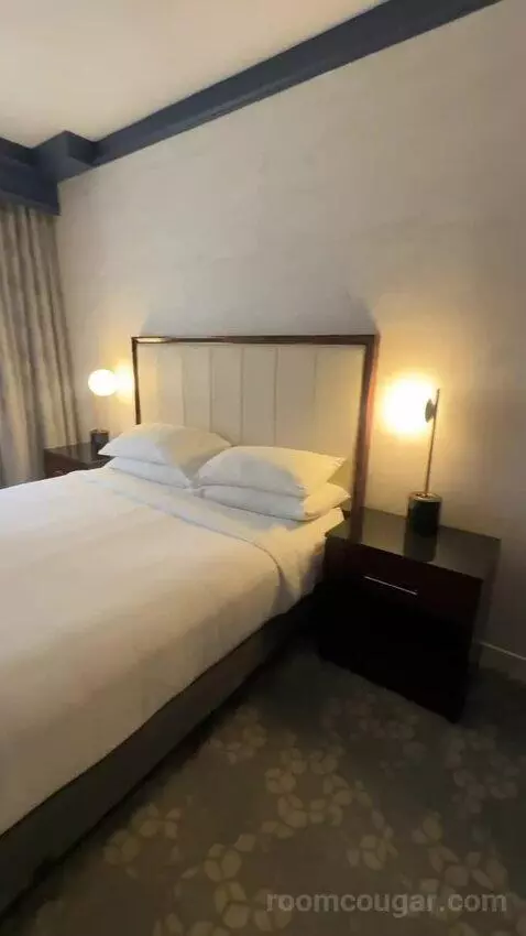 1 Bedroom Suite, 1 King, Sofa Bed (#232) bed picture #2