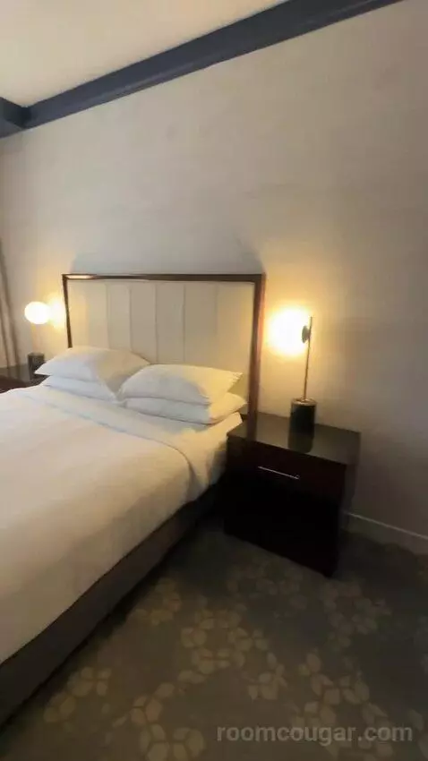 1 Bedroom Suite, 1 King, Sofa Bed (#232) bed picture #3