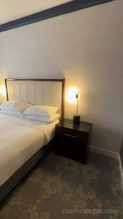 1 Bedroom Suite, 1 King, Sofa Bed (#232) bed picture #4