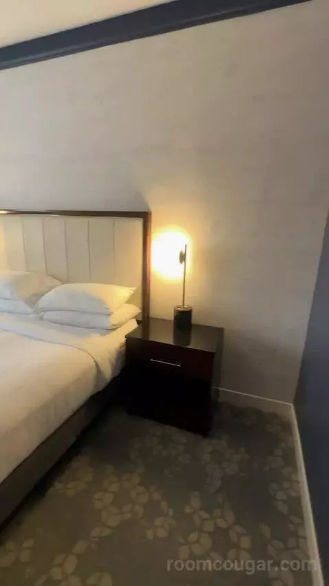 1 Bedroom Suite, 1 King, Sofa Bed (#232) bed picture #5