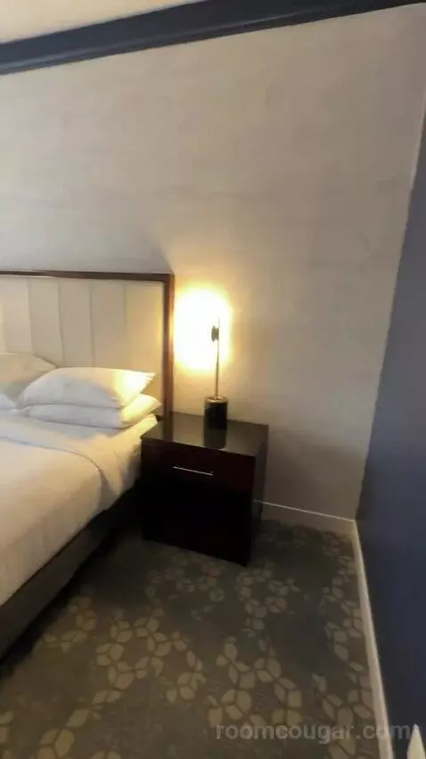 1 Bedroom Suite, 1 King, Sofa Bed (#232) bed picture #7