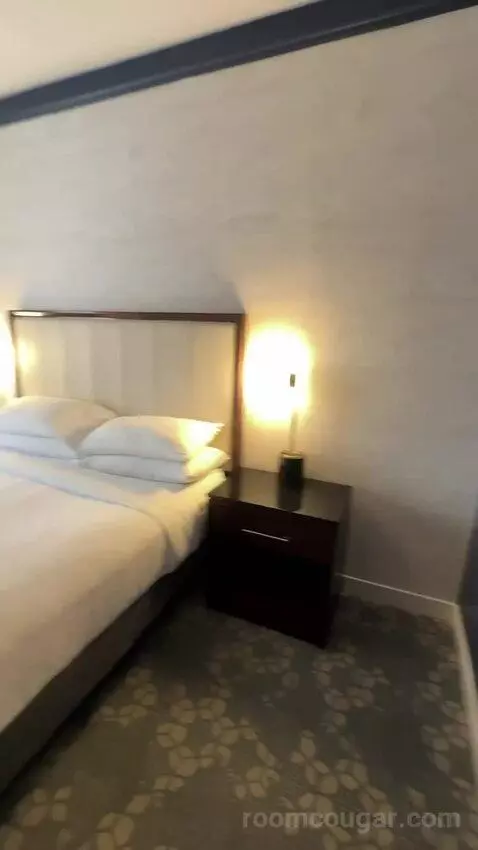 1 Bedroom Suite, 1 King, Sofa Bed (#232) bed picture #8