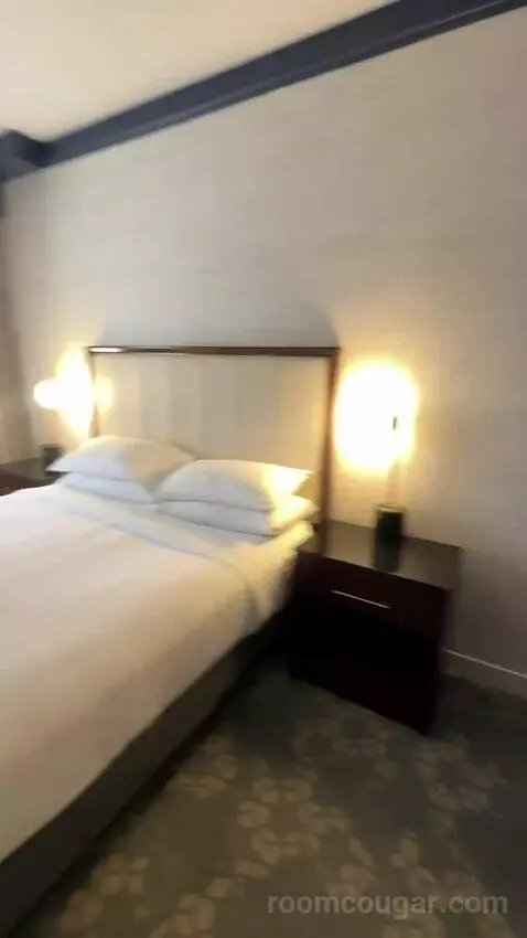 1 Bedroom Suite, 1 King, Sofa Bed (#232) bed picture #9