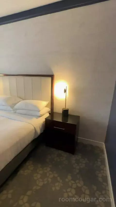 1 Bedroom Suite, 1 King, Sofa Bed (#232) picture #11