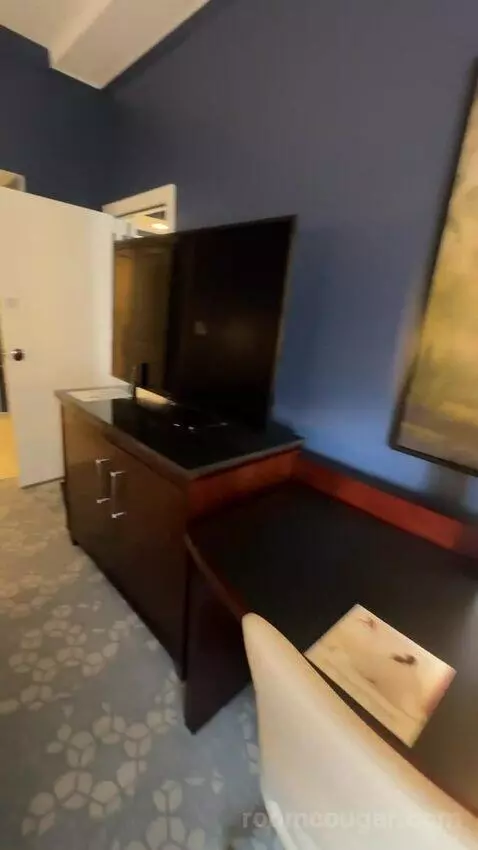 1 Bedroom Suite, 1 King, Sofa Bed (#232) picture #15