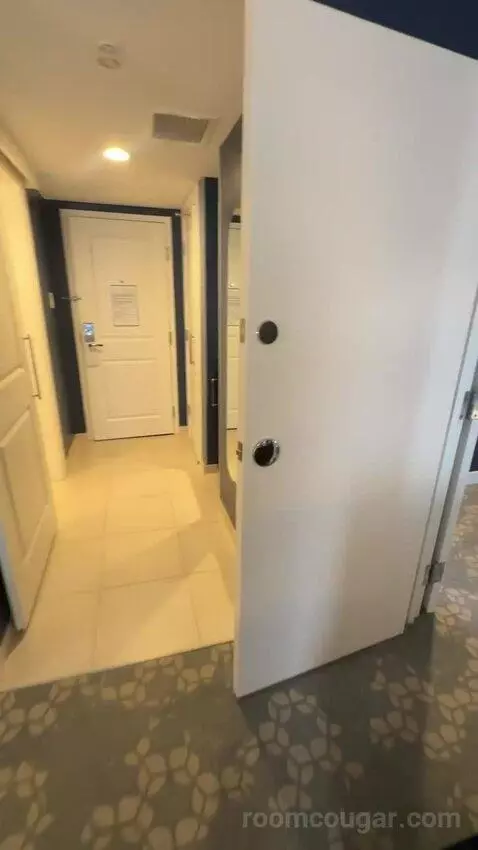 1 Bedroom Suite, 1 King, Sofa Bed (#232) picture #16
