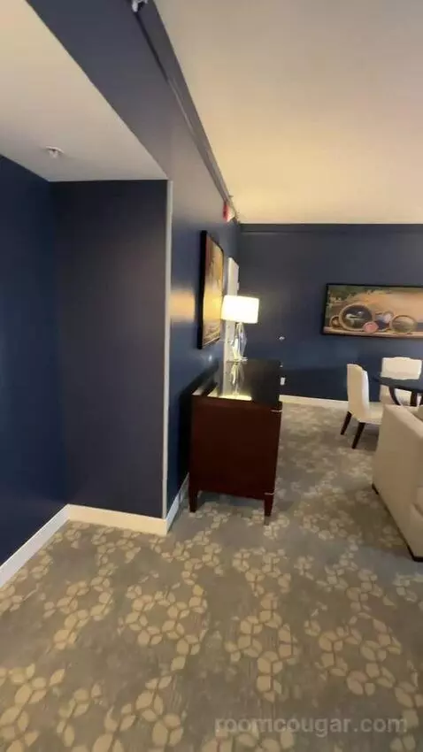 1 Bedroom Suite, 1 King, Sofa Bed (#232) picture #17