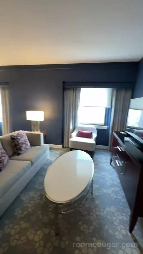 1 Bedroom Suite, 1 King, Sofa Bed (#232) picture #18