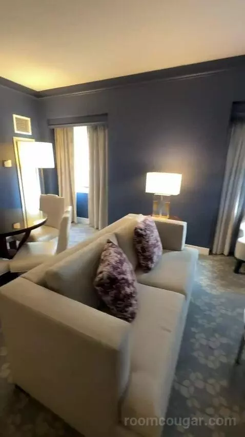 1 Bedroom Suite, 1 King, Sofa Bed (#232) picture #19