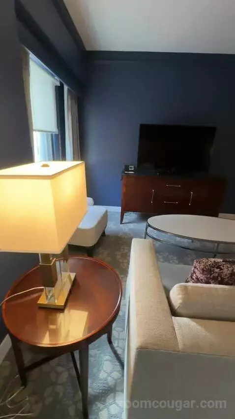 1 Bedroom Suite, 1 King, Sofa Bed (#232) picture #24