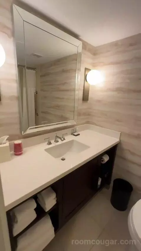 1 Bedroom Suite, 1 King, Sofa Bed (#232) bathroom picture #1
