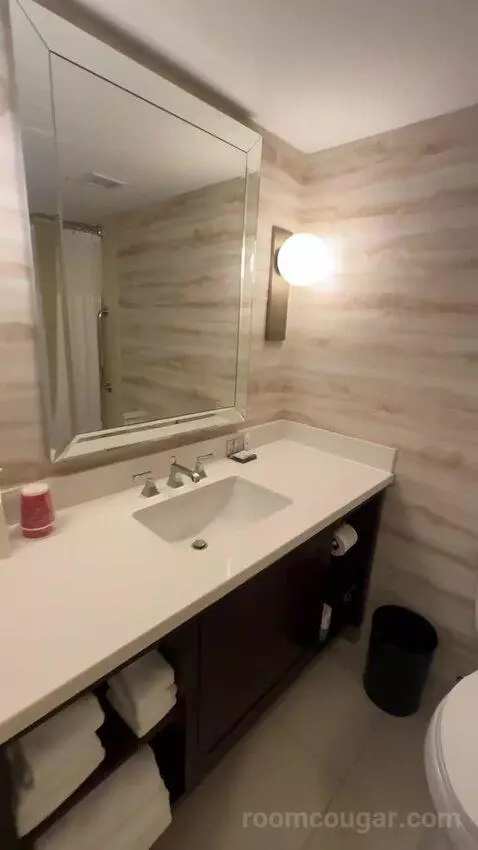 1 Bedroom Suite, 1 King, Sofa Bed (#232) bathroom picture #2