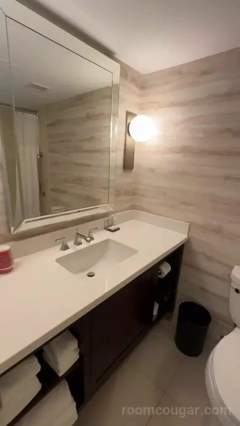 1 Bedroom Suite, 1 King, Sofa Bed (#232) bathroom picture #3