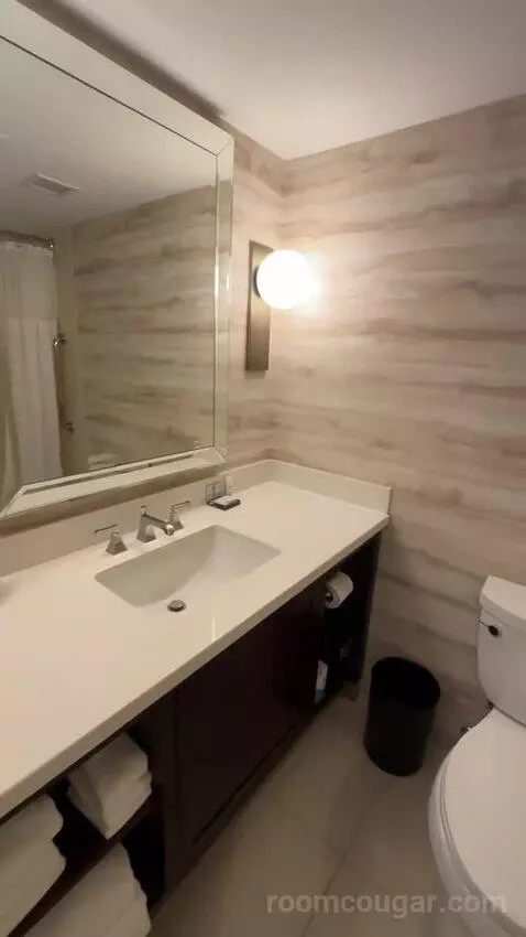 1 Bedroom Suite, 1 King, Sofa Bed (#232) bathroom picture #4