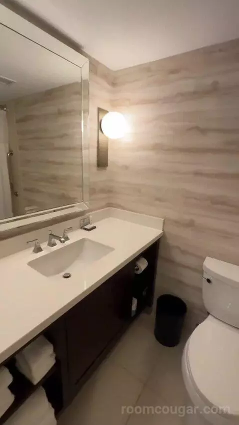 1 Bedroom Suite, 1 King, Sofa Bed (#232) bathroom picture #5