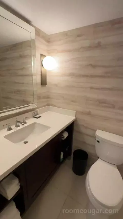 1 Bedroom Suite, 1 King, Sofa Bed (#232) bathroom picture #6