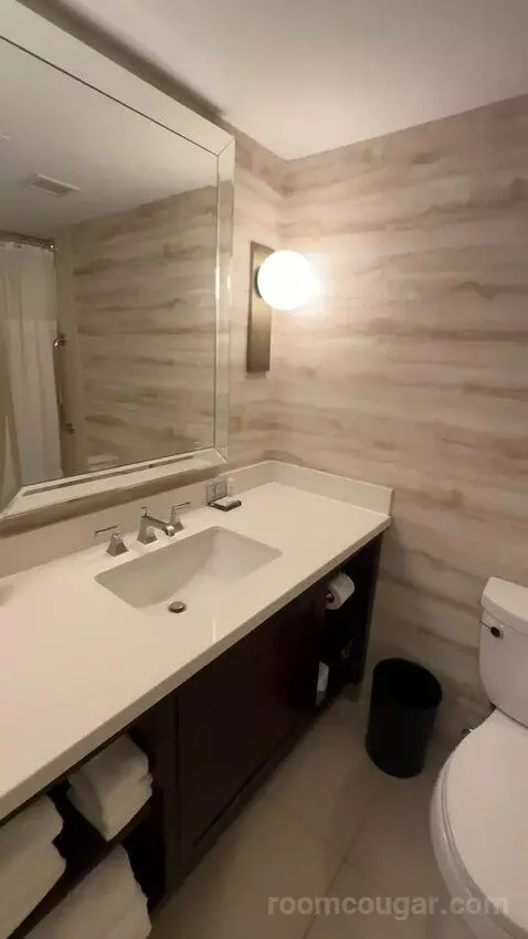 1 Bedroom Suite, 1 King, Sofa Bed (#232) picture #7