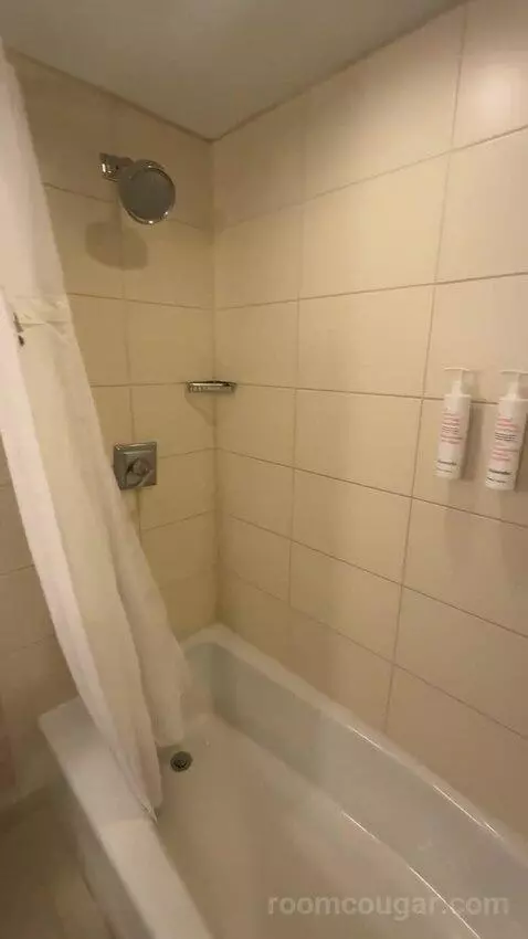 1 Bedroom Suite, 1 King, Sofa Bed (#232) bathroom picture #7
