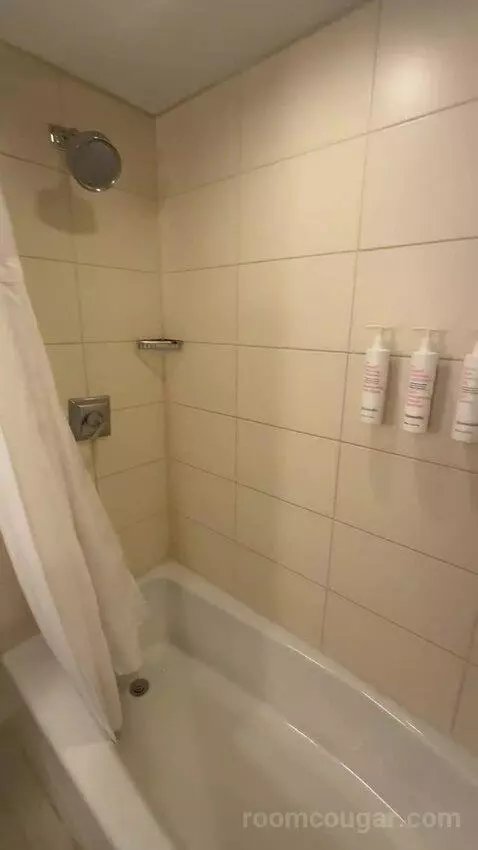 1 Bedroom Suite, 1 King, Sofa Bed (#232) bathroom picture #8